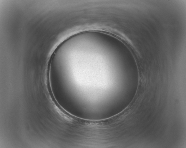 X0000080671512200612151143