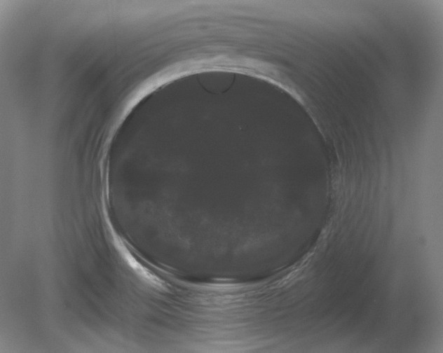 X0000080671515200612151143
