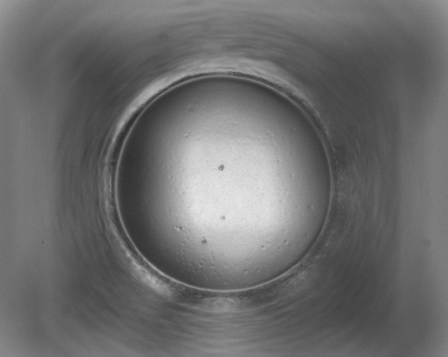 X0000080671517200612151143