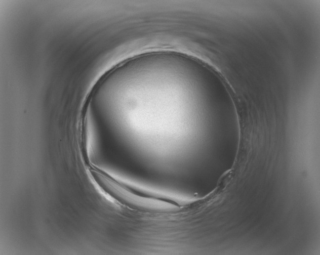 X0000080671519200612151143