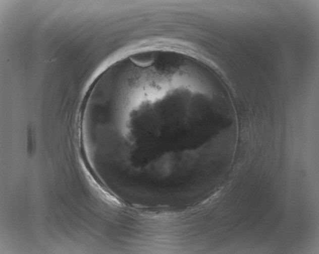 X0000080671522200612151144