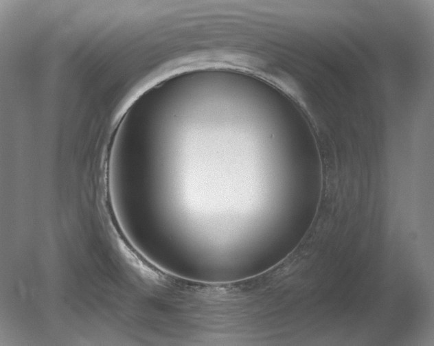 X0000080671524200612151144