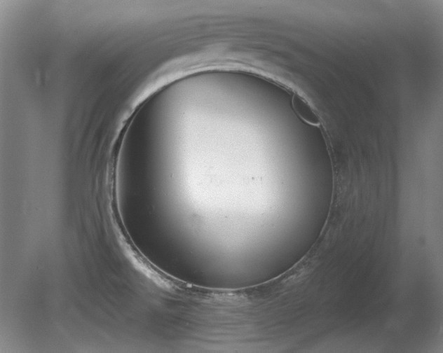 X0000080671526200612151144