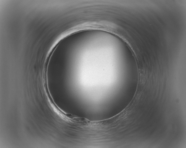 X0000080671531200612151144