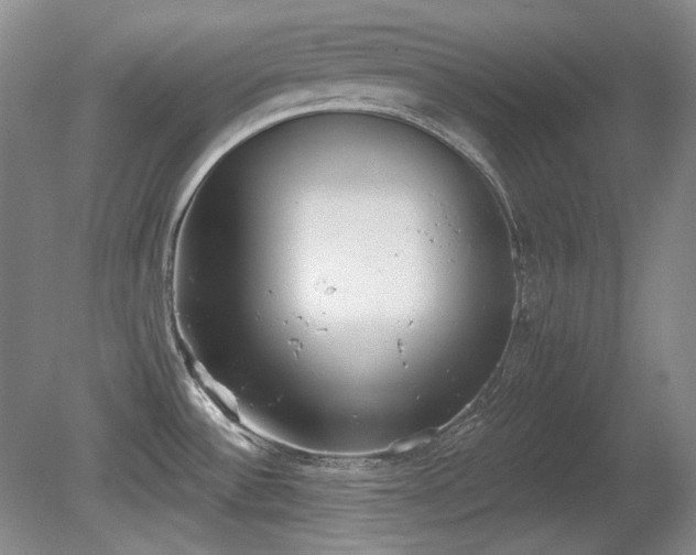 X0000080671532200612151144