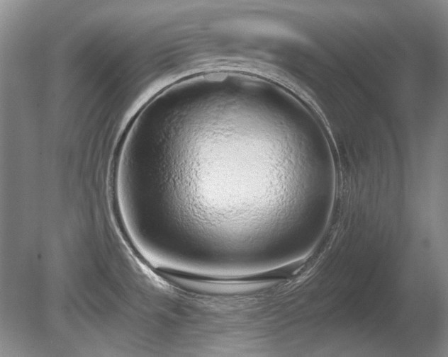 X0000080671533200612151144