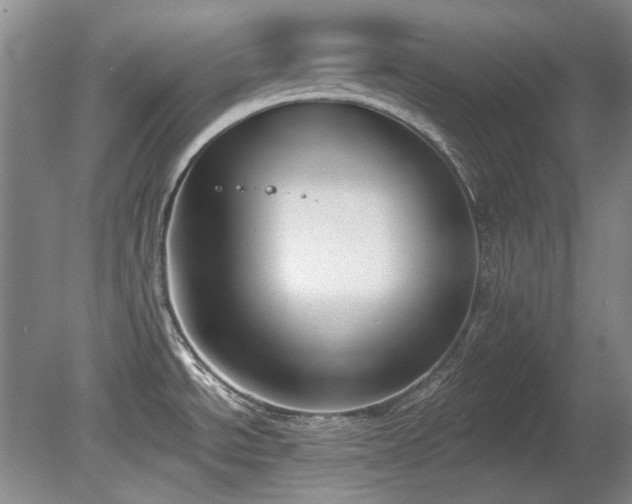 X0000080671534200612151144