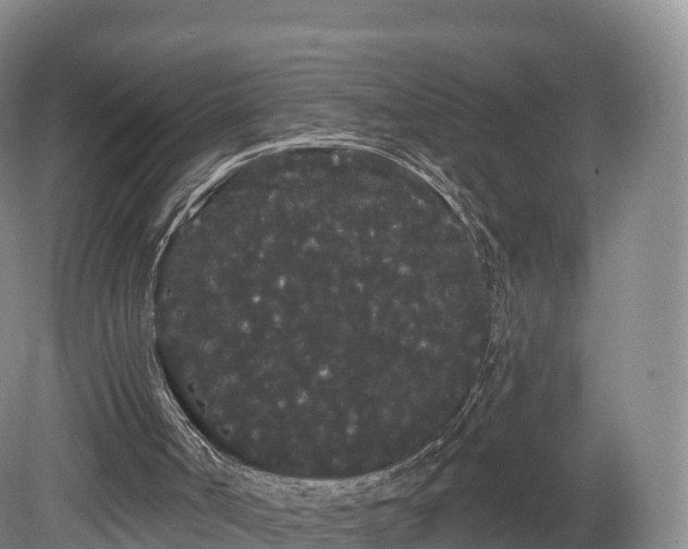 X0000080670002200612221129