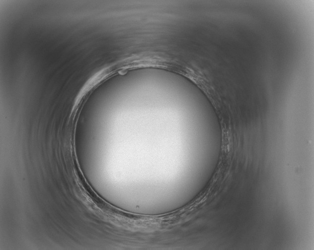 X0000080670004200612221129