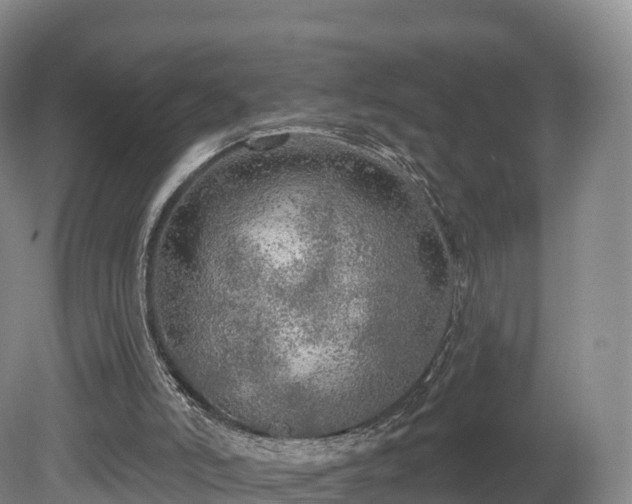 X0000080670006200612221129