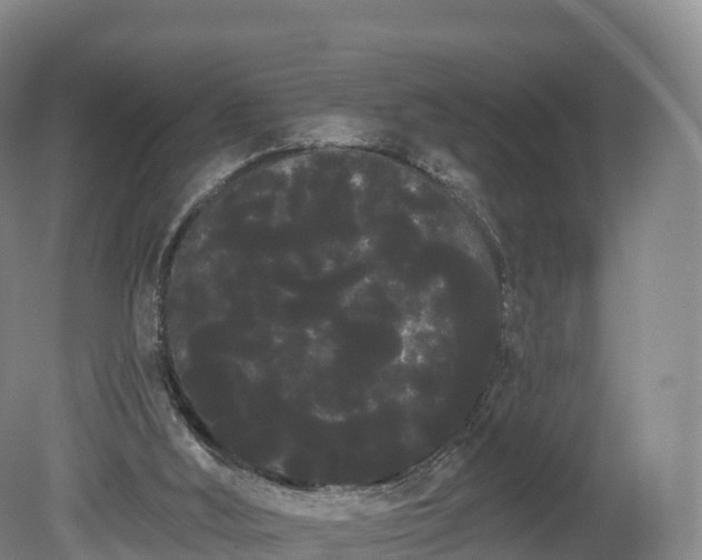 X0000080670012200612221129