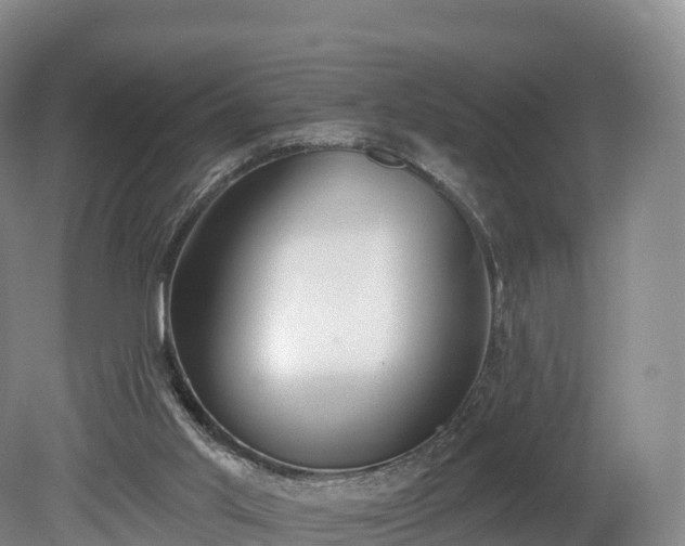 X0000080670013200612221129