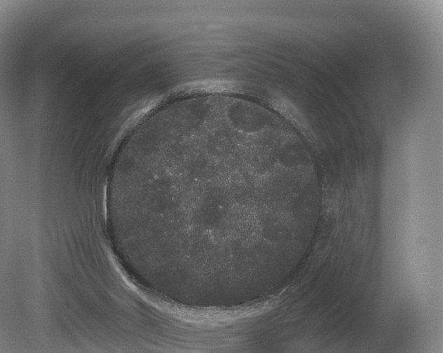 X0000080670014200612221129