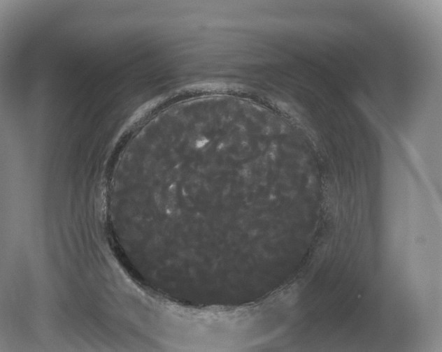 X0000080670016200612221128