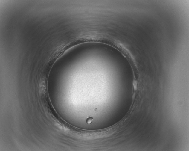 X0000080670017200612221128