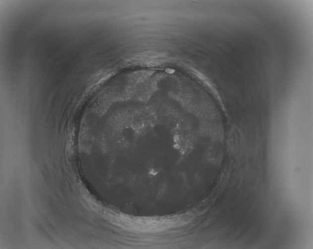 X0000080670018200612221128