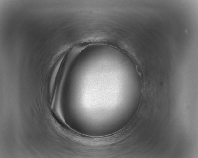 X0000080670019200612221128