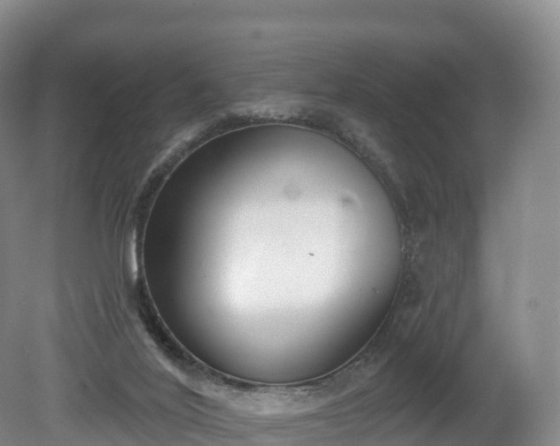 X0000080670020200612221128