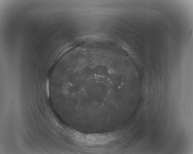 X0000080670022200612221128