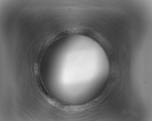 X0000080670025200612221128