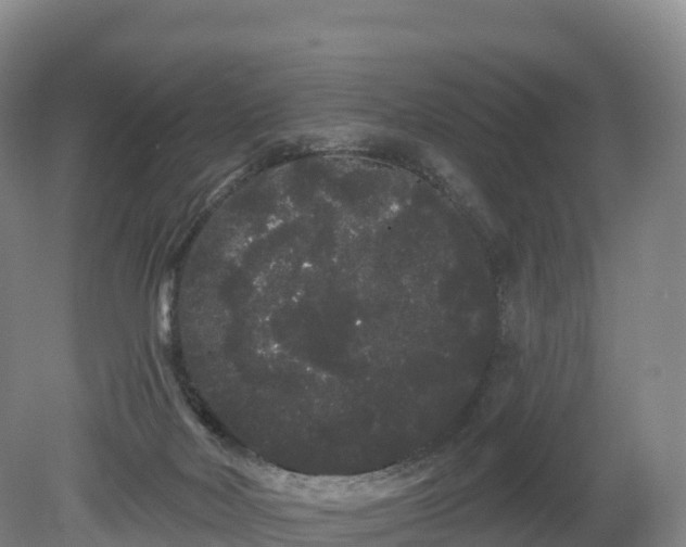 X0000080670026200612221128