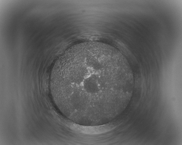 X0000080670030200612221128