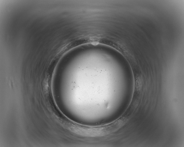 X0000080670032200612221128