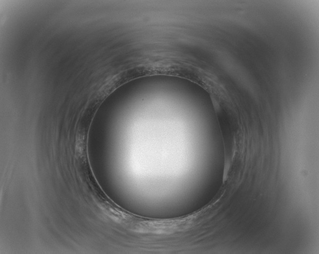 X0000080670033200612221128