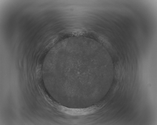 X0000080670034200612221128