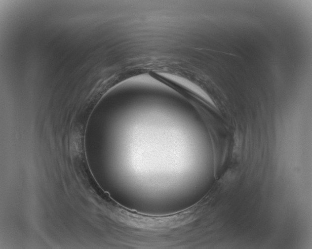 X0000080670035200612221128