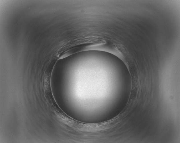 X0000080670037200612221128