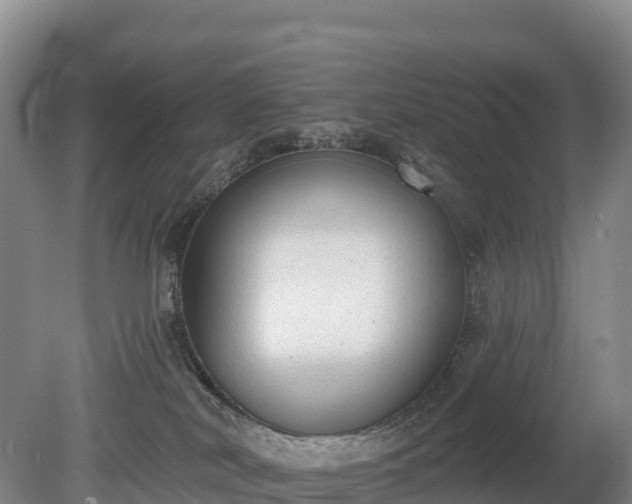 X0000080670038200612221128