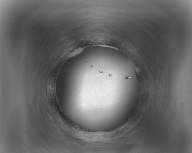 X0000080670040200612221128