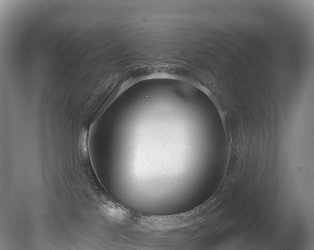 X0000080670041200612221128