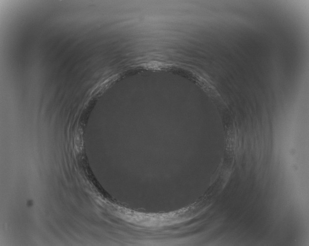 X0000080670043200612221128