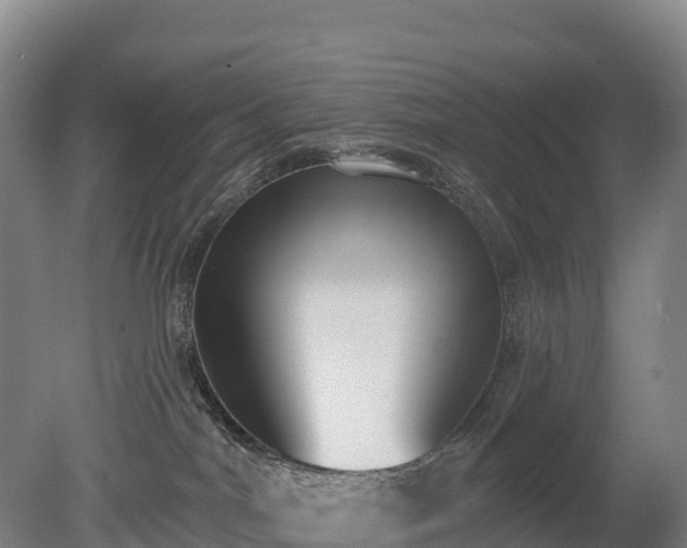 X0000080670044200612221128