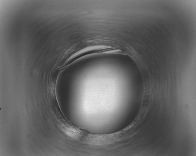 X0000080670045200612221128