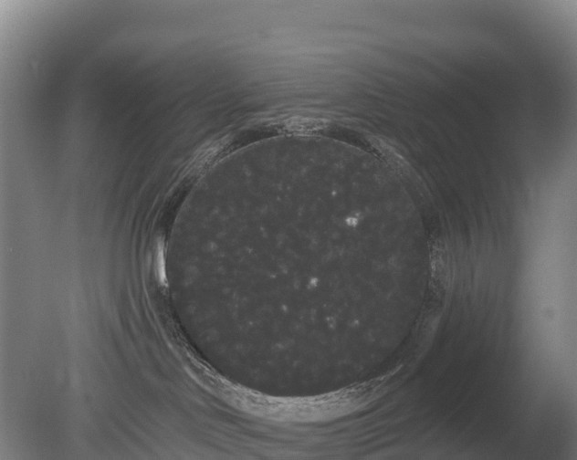 X0000080670046200612221128