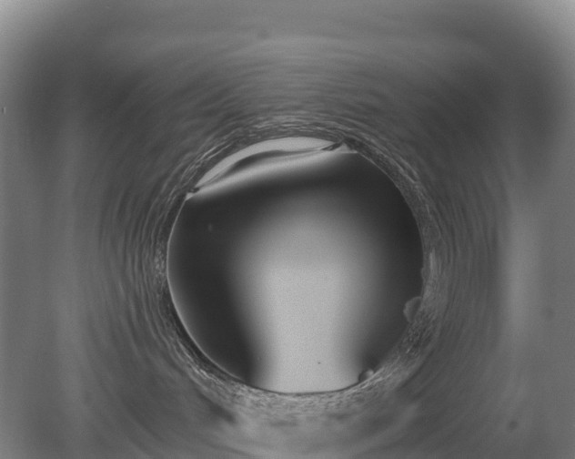 X0000080670048200612221128