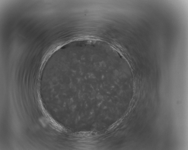 X0000080670049200612221127