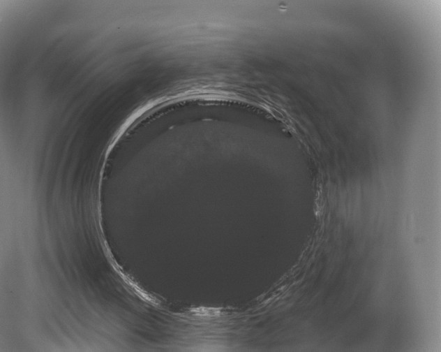 X0000080670052200612221127