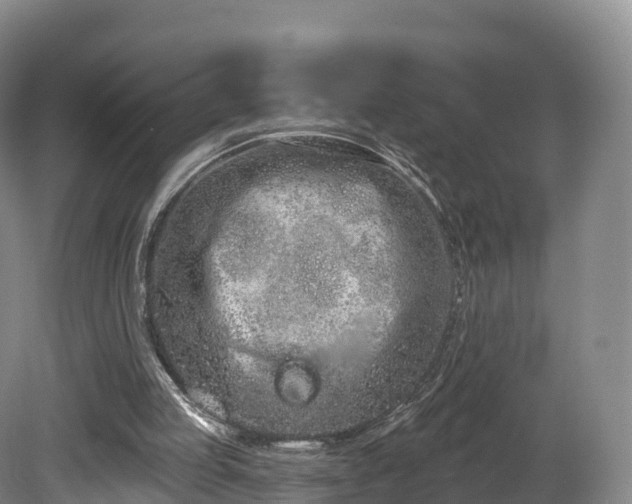 X0000080670053200612221127