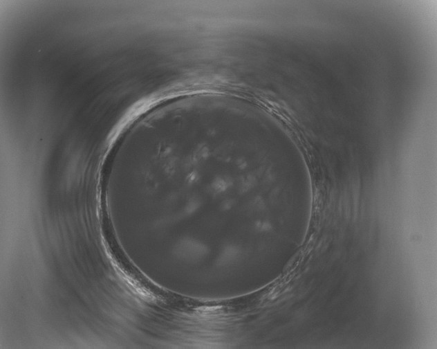 X0000080670054200612221127