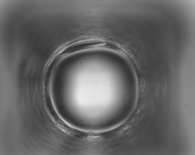 X0000080670055200612221127