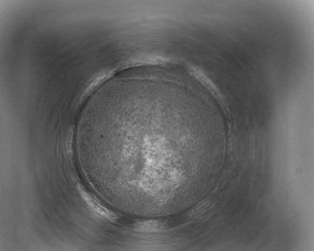 X0000080670058200612221127