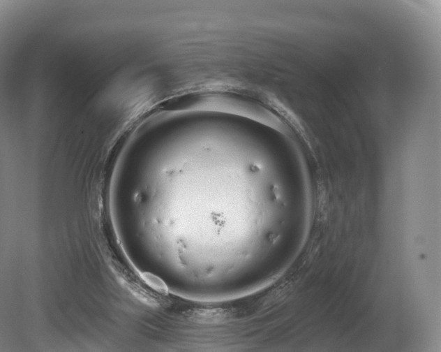 X0000080670059200612221127