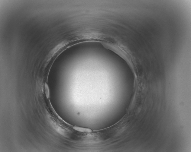 X0000080670060200612221127