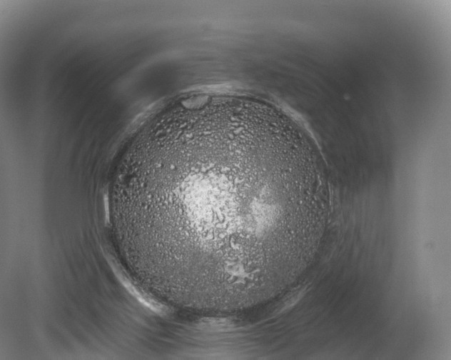 X0000080670061200612221127