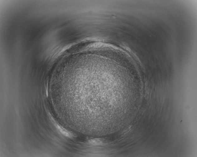 X0000080670062200612221127