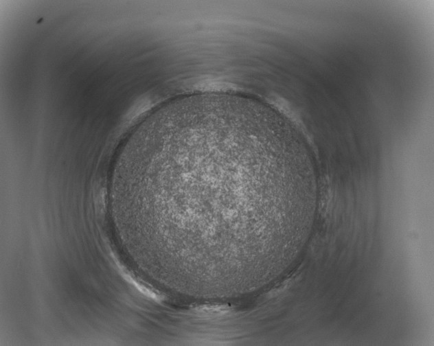 X0000080670063200612221127